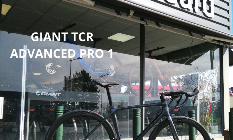 Giant TCR Advanced Pro 1